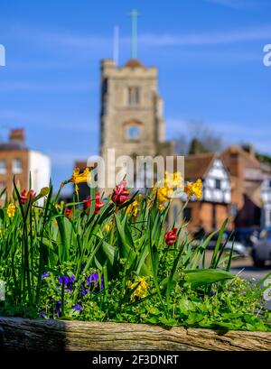 Fleurs jaunes, rouges et violettes dans une boîte à fleurs. Église médiévale au sommet d'une colline et autres bâtiments historiques à colombages en arrière-plan. Village de Pinner. Angleterre Banque D'Images