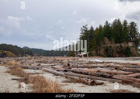 Thormanby Island est une belle île au large de la Sunshine Coast en Colombie-Britannique. Il est accessible en bateau seulement depuis Secret Cove, et bénéficie d'un beau sable Banque D'Images