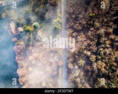 Vue de dessus vers le bas sur un paysage brumeux. Forêt à feuilles caduques avec feuilles brunes sèches coupées en deux par route droite. Banque D'Images