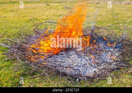 Incinération des déchets dans le chalet d'été. Flammes provenant de branches brûlantes sèches sur le terrain, cendres brûlées. Danger de manipulation d'incendie. Banque D'Images