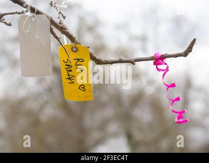 Londres, Royaume-Uni. 16 mars 2021. « RIP Sarah » lié à la branche d'un arbre, à la mémoire de Sarah Everard. Les gens continuent de laisser des hommages et des fleurs pour Sarah Everard au kiosque de Clapham Common qui est devenu un sanctuaire. Sarah a été vue pour la dernière fois le 3 mars. Son corps a été trouvé dans un sac de constructeurs à Woodland à Ashord. PC Wayne Couzens est apparu aujourd'hui à l'Old Bailey via videolink de la prison de Belmarsh. Il sera jugé en octobre. Crédit : Mark Thomas/Alay Live News Banque D'Images