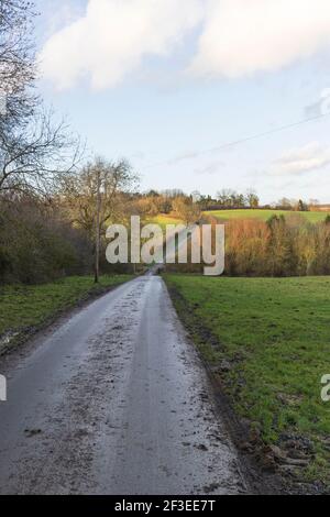 Route de campagne britannique dans la campagne avec haies et herbe de chaque côté, montrant une longue route avec une pente décente et puis monter dans la distance. Banque D'Images