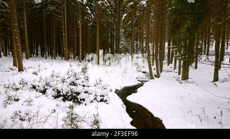 Vue panoramique sur un paysage d'hiver Banque D'Images