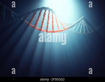 Molécule d'ADN avec rétro-éclairage créant de l'ombre et des faisceaux de lumière. Illustration 3D avec masque inclus. Banque D'Images