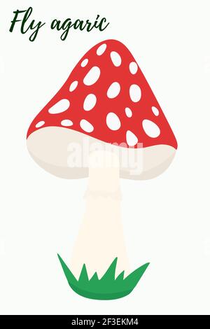 Amanita, illustration. Vecteur, champignon rouge toxique Fly agaric Illustration de Vecteur