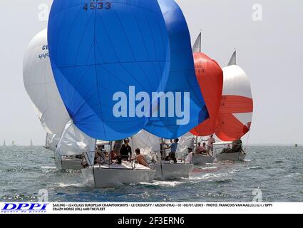 VOILE - CHAMPIONNAT D'EUROPE DE CLASSE J24 - LE CROUESTY / ARZON (FRA) - 01-08/07/2005 - PHOTO : FRANÇOIS VAN MALLEGHEM / DPPI CRAZY HORSE (IRL) ET LA FLOTTE Banque D'Images