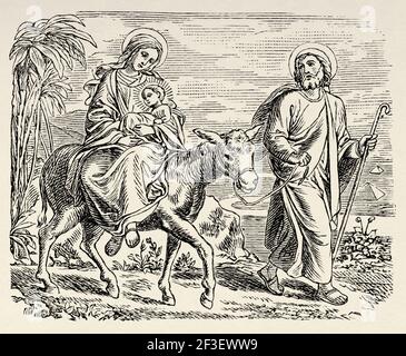 Le vol en Égypte. Nouveau Testament, ancien XIXe siècle illustration gravée de l'Histoire de la Bible 1883 Banque D'Images