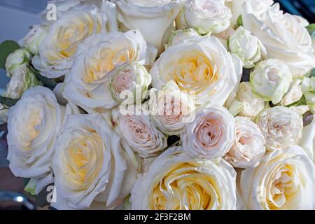 Bouquet de mariage de roses orange et blanches, de cire et d'eucalyptus. Arrière-plan Banque D'Images