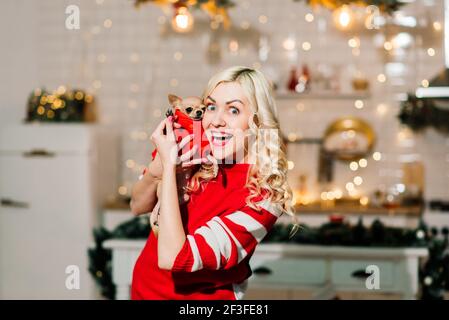 Portrait de femme blonde portant le Père Noël tenant les chiens chihuahua en costume de Noël dans la cuisine avec décoration de Noël, souriant et regardant Banque D'Images