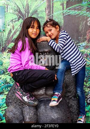 Jeunes filles anglophones-thaïlandaises posant pour des photos sur une statue de Gorilla Au zoo de Chester Banque D'Images