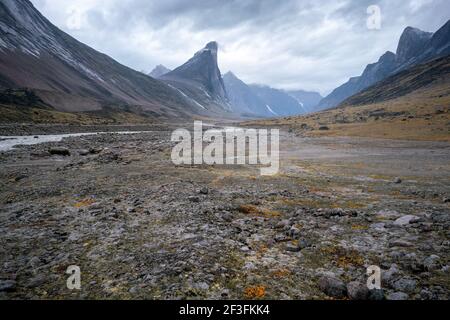La rivière Weasel sauvage traverse la vallée arctique éloignée du col Akshayuk, île de Baffin, Canada, par une journée nuageux. Paysage arctique spectaculaire avec Mt. Thor Banque D'Images