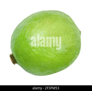 Gros plan à la chaux isolé sur fond blanc. Vue de face de tout le citron vert frais. Fond sain de nourriture de fruits Banque D'Images