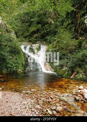 Une cascade de tous les saints dans la Forêt Noire en Allemagne. Banque D'Images