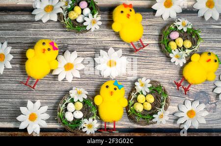 Poussins de Pâques avec œufs de Pâques sur fond de bois. Banque D'Images
