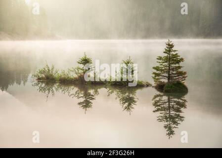 Une petite île de petits pins se reflète sur deux lacs Jack dans le parc national Banff tandis que le soleil du matin brille de couleur dorée à travers le brouillard et la brume. Banque D'Images