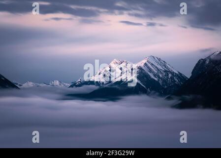 Une inversion de nuages remplit la vallée du parc national Banff, les nuages et les montagnes reflétant la lumière du matin rose ambiante. Banque D'Images