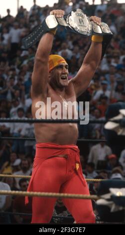 Hulk Hogan 1993 photo de John Barrett/PHOTOlink/MediaPunch Banque D'Images