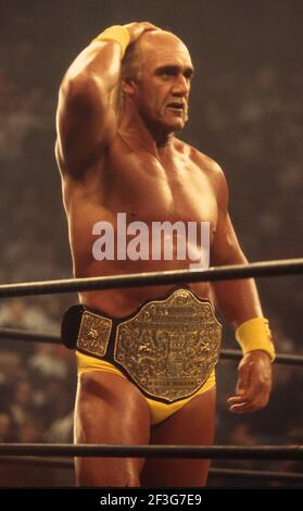 Hulk Hogan 1993 photo de John Barrett/PHOTOlink/MediaPunch Banque D'Images