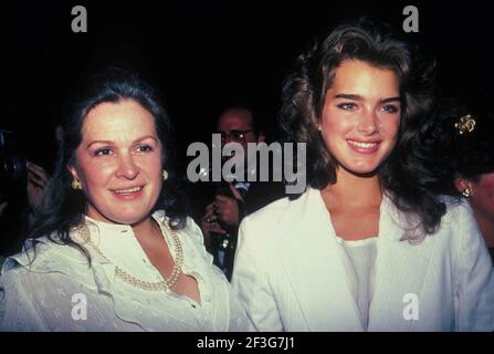 Brooke Shields, mère Teri Shields 1982 photo d'Adam Scull-PHOTOlink.net / MediaPunch Banque D'Images