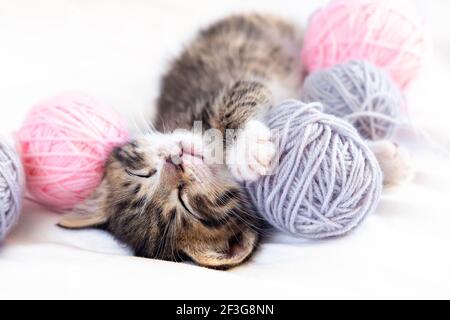 Chat mignon dormant avec des pelotes roses et grises de filet sur lit blanc Banque D'Images