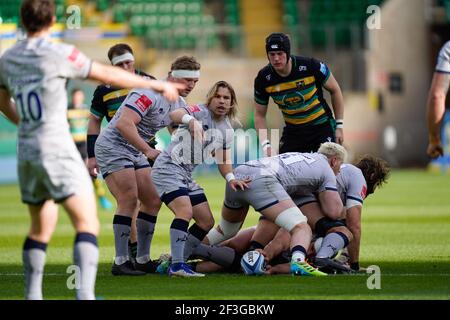 Solde Sharks Scrum-Half FAF de Klerk lors d'un match de rugby Union Round 13 Gallagher Premiership, samedi 12 mars 2021, à Northampton, Royaume-Uni Banque D'Images