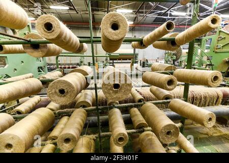 Entreprise de fabrication textile « Tissage du Ronchay » à Luneray (nord de la France). Tissage de lin Banque D'Images