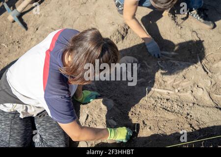 Vinča, Serbie, 27 septembre 2019 : une équipe d'archéologues travaillant sur le site des fouilles Banque D'Images