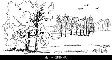 Paysage graphique monochrome avec champ et arbres. Illustration de Vecteur