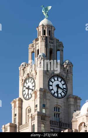 La tour de l'horloge au sommet du Liver Building à Pier Head à Liverpool, Merseyside, Angleterre, Royaume-Uni. | | Concepteur : Walter Aubrey Thomas Banque D'Images