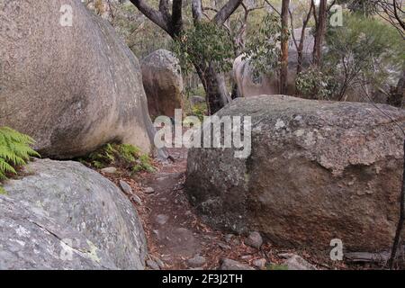 Girraween National Park en Nouvelle-Galles du Sud en Australie Banque D'Images