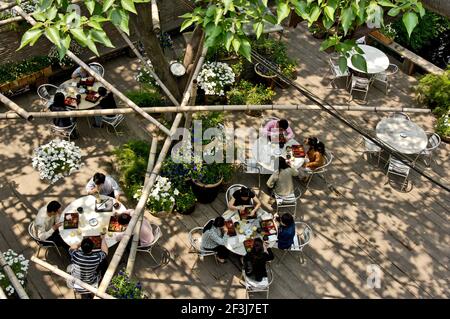 Vue d'ensemble du jardin de Deng pendant la pause déjeuner; les cannes horizontales en bambou contrastent avec les arbres verticaux, au studio d'architecture Da Yang de D. Banque D'Images