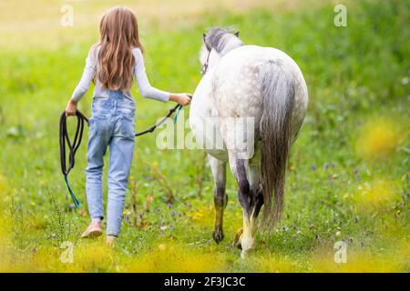 Poney de montagne gallois, section A. UNE fille conduit un cheval blanc du pâturage. Allemagne Banque D'Images