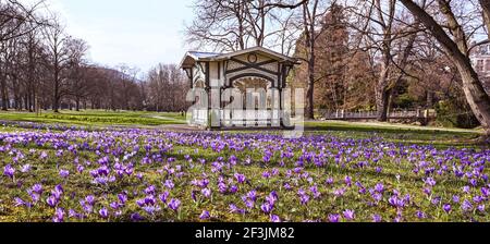 Les crocodiles dans les jardins du spa Baden Baden Germany, Europe Banque D'Images