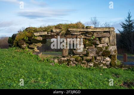 Ancienne maison de montagne en pierre ruine à Cavan Burren Park, Co, Cavan, Irlande, Banque D'Images