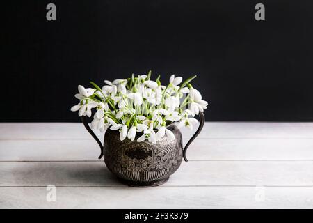 Bouquet de gouttes de neige blanches Galanthus nivalis en pot rétro vintage sur fond sombre. Banque D'Images