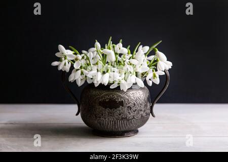 Bouquet de gouttes de neige blanches Galanthus nivalis en pot rétro vintage sur fond sombre. Banque D'Images