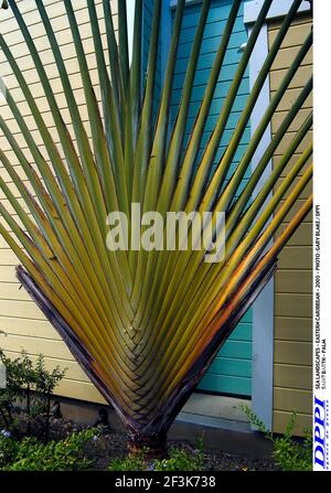 PAYSAGES MARINS - CARAÏBES ORIENTALES - 2005 - PHOTO : GARY BLAKE / DPPI SAINT BARTH - PALM Banque D'Images