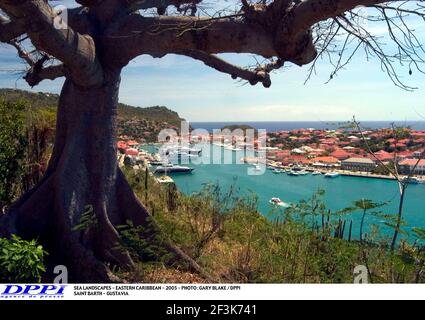 PAYSAGES MARINS - CARAÏBES ORIENTALES - 2005 - PHOTO : GARY BLAKE / DPPI SAINT BARTH - GUSTAVIA Banque D'Images