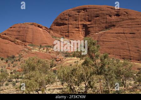 Vue sur les collines de Kata Tjuta dans le territoire du Nord En Australie Banque D'Images