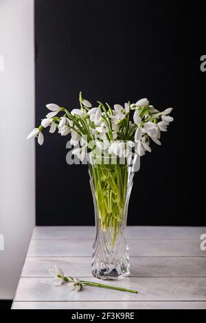 Bouquet de gouttes de neige blanches Galanthus nivalis dans un pot en verre sur des tons sombres sur fond de bois, encore la vie dans l'insouciance feinte. Banque D'Images