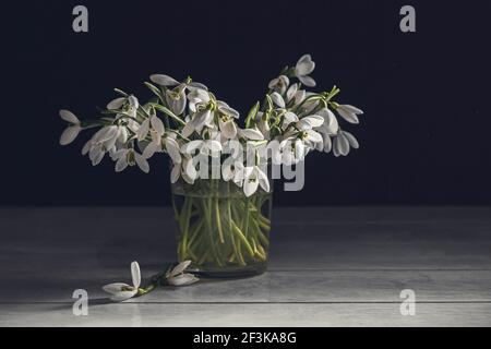 Bouquet de gouttes de neige blanches Galanthus nivalis dans un pot en verre sur fond de bois dans des tons sombres. Banque D'Images