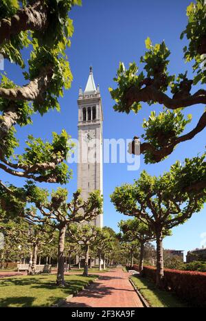 Le Campanile (Sather Tower) Berkeley, Californie, Etats-Unis Banque D'Images