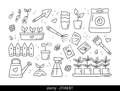 Semences et semis. Germination des pousses. Outils, pots et sol pour la plantation Illustration de Vecteur