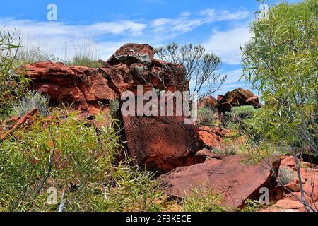 L'Australie, NT, public Ewaninga Réserve de conservation, avec gravures préhistoriques aborigènes et site historique, rock avec les lichens Banque D'Images