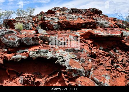 L'Australie, NT, public Ewaninga Réserve de conservation, avec gravures préhistoriques aborigènes et site historique, rock avec les lichens Banque D'Images