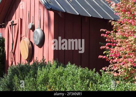 Hangar rouge avec toit en étain, outils de suspension et arbre d'automne. Banque D'Images