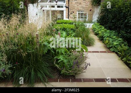 Chemin pavé en pierre de York, interespacé de briques rouges, avec boîte tronquée, herbes ornementales, acanthus et alchimila mollis. Jardin arrière à Greenwich, Sout Banque D'Images