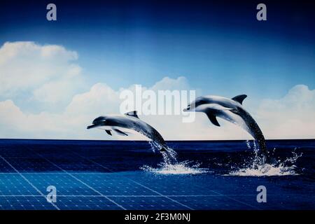 Un détail d'un panneau d'affichage rétroéclairé dépeint les dauphins qui s'envolent d'un océan de panneaux solaires. shanghai, chine. Banque D'Images