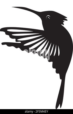 Illustration du vecteur Hummingbird Illustration de Vecteur