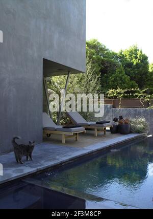 Chaises longues et chat sur le patio à côté de la piscine, maison de California Avenue, Bakersfield, Californie, États-Unis Banque D'Images